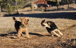 62 Cerro Verde, Eagle Nest, NM 87718-0000