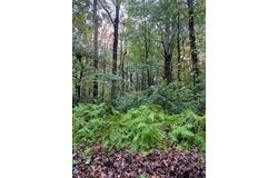 Blackmer Rd, Southbridge, MA 01550
