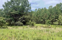 E Sandy Lane, Cedar, MI 49621