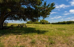 Tract C2-1 County Road 1140, Celeste, TX 75423