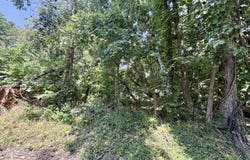665 Meng Street, Greenfield, MO 65661