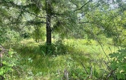4034 W Topisaw, Ruth, MS 39662
