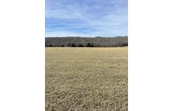 Tract 1 County Road 14-534, Ava, MO 65608