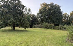 36 County Road 284, THAXTON, MS 38871