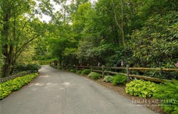 Red Wolf lot: 24, Blowing Rock, NC 28605