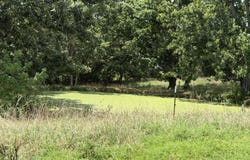 County Road 105, Ava, MO 65608