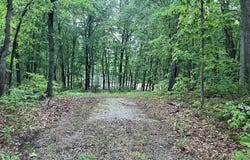 V/L E Sandra Kay Road, Fountain, MI 49410