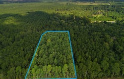 Tree Farm Road, Walterboro, SC 29488
