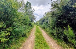 234 Twp. Rd. 581, Sullivan, OH 44880
