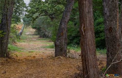 Stiewert Lane, Paige, TX 78659