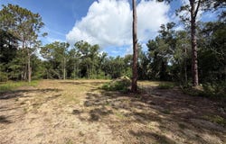 IDLEWOOD Drive, WEBSTER, FL 33597