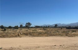 Cambria, Phelan, CA 92371