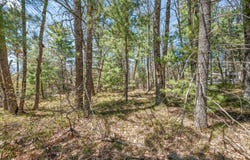 V/L Newbern Blvd, Baldwin, MI 49304