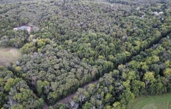 Grier Branch Road, Strafford, MO 65757