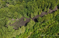Hardy Rd, Georgetown, MS 39078