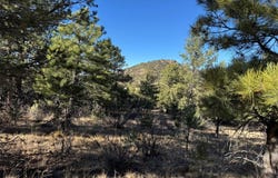 Stephens Drive lot: 35, Westcliffe, 81252