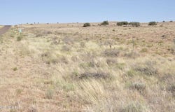 986 Concho Highway, Concho, AZ 85924