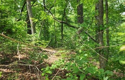 ID19 Lakeview Trail, HOLLADAY, TN 38341