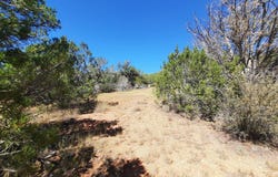 30260 W Circle Drive, Seligman, AZ 86337