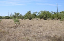 County Rd 130 Highway, Ballinger, TX 76821