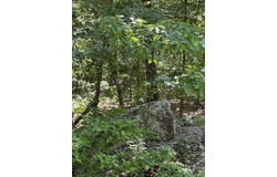 Spokane Drive, Cherokee Village, AR 72529