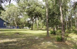 227 River View Drive, Old Town, FL 32680