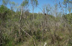 State Hwy 13, Eldridge, AL 35554