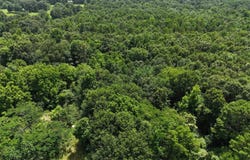 Polk Road 283, Hatfield, AR 71945