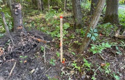 Par 2 Clements Road, Kaleva, MI 49645