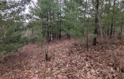 V/L 0 W Crooked Lake Rd, Lake City, MI 49651