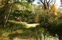 384 Phillips Road, Windsor, NY 13865