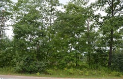 FISHER ROAD, TRAVERSE CITY, MI 49685