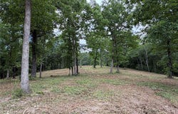 146 NC 3920, Marble Falls, AR 72648