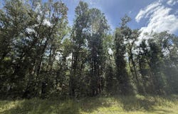 NE Nixon Way, Madison, FL 32340