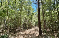 Mcnair Springs Road, Magee, MS 39111
