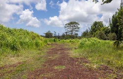 16-1275 MOHO RD, Kurtistown, HI 96760