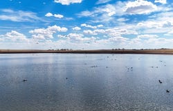 38250 County Road 170, Agate, CO 80101