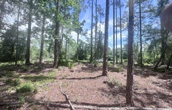 107 GEORGETOWN POINT RD, Georgetown, FL 32139
