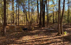 1 Allenwood Dr., Canton, MS 39046