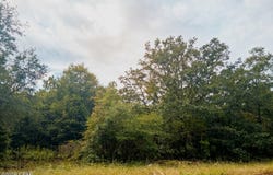 4114 Janet Circle, Chipley, FL 32428