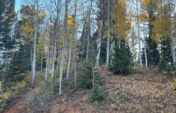 660 W SKI VIEW Dr, Brian Head, UT 84719