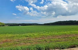 21 County Road, Mazeppa, MN 55956