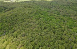 SE 1121 Road, Deepwater, MO 64740