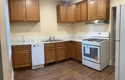 511 EMERALD AVENUE NE, GRAND RAPIDS, MI 49503