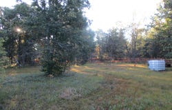 1540 S Stephan Bridge Road, Grayling, MI 49738