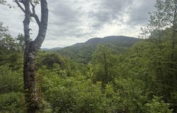 174 Doty Road, Roan Mountain, TN 37687