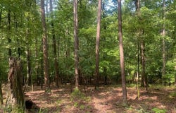 11 Southridge Drive, Mount Ida, AR 71957