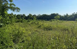 Ball Road, Whitewright, TX 75491