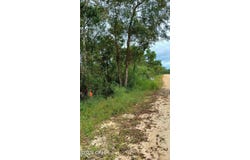 Papaya Drive, Marianna, FL 32448