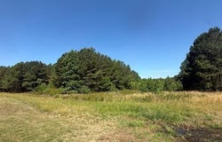 Prestwould Drive lot: 82, Clarksville, VA 23927